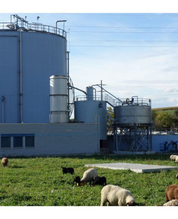 Biogasgewinnung in der Zuckerindustrie
